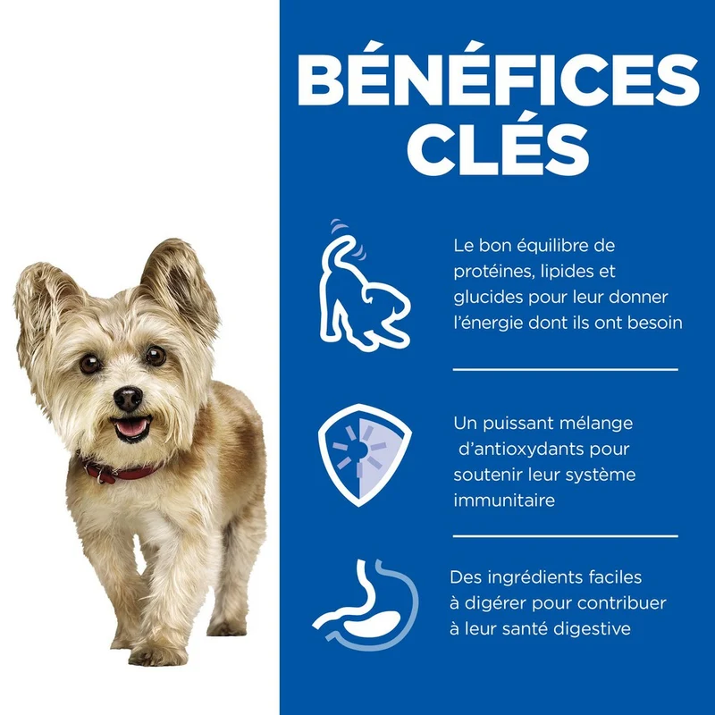 Hill's Science Plan Small & Mini Mature Adult 7+ en mousse au bœuf - pâtée chien