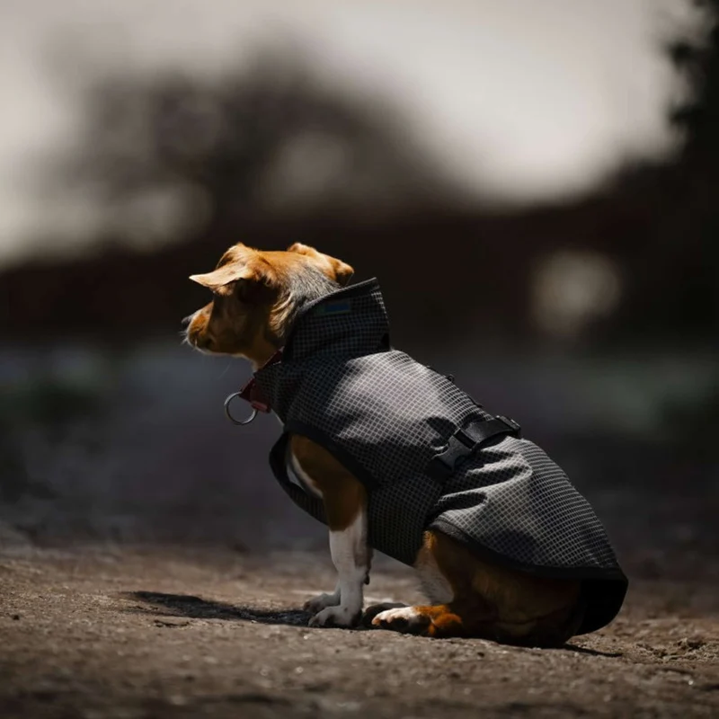 Bucas Tapis pour Chien Reflectglow Reflectglow