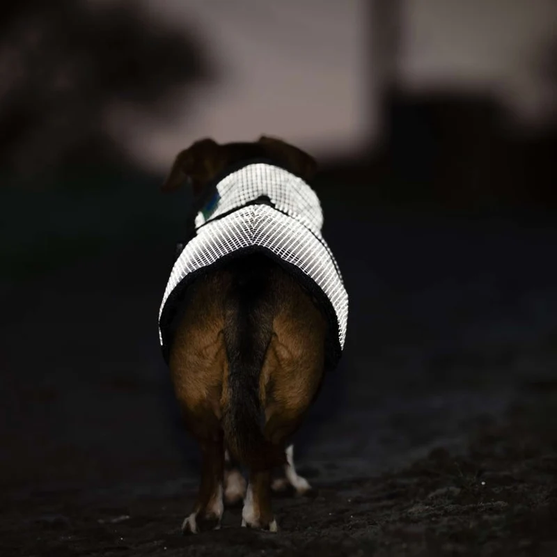 Bucas Tapis pour Chien Reflectglow Reflectglow