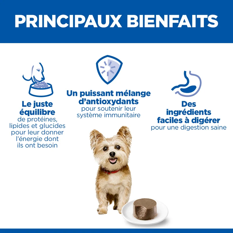 Hill's Science Plan Small & Mini Adult en mousse au bœuf - pâtée chien