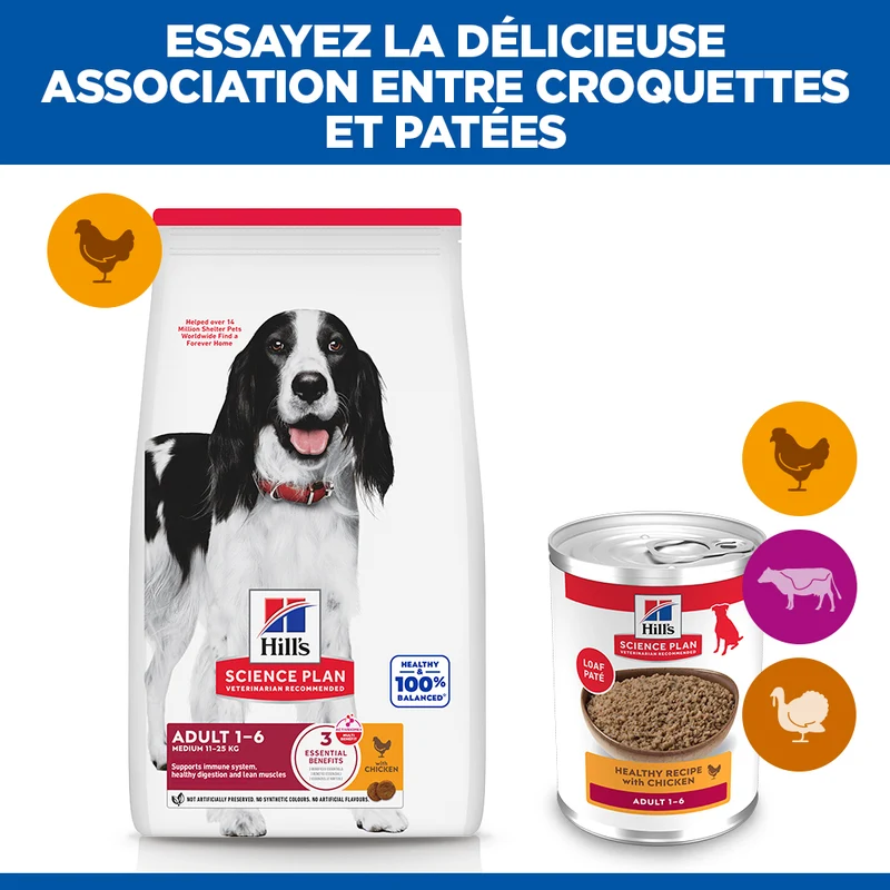 Hill's Science Plan All Breed Adult au poulet ou boeuf - pâtée chien