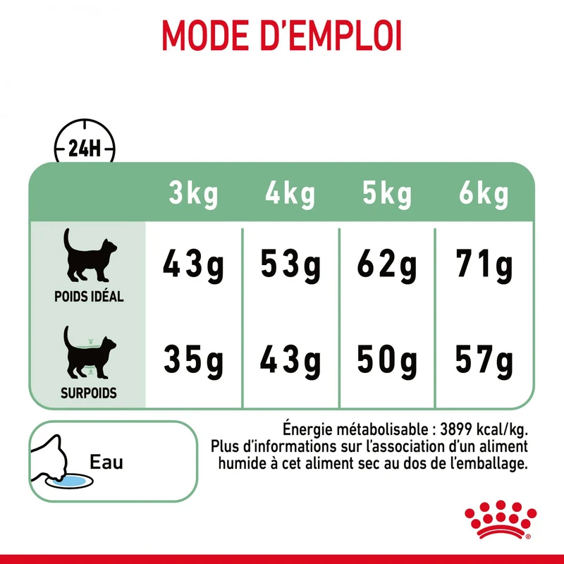 Royal Canin Digestive Care - croquettes chat
