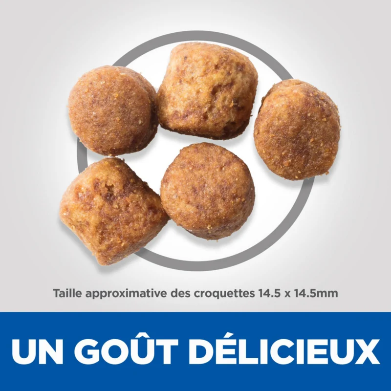 Hill's Science Plan Healthy Mobility Large Adult au poulet - croquettes chien
