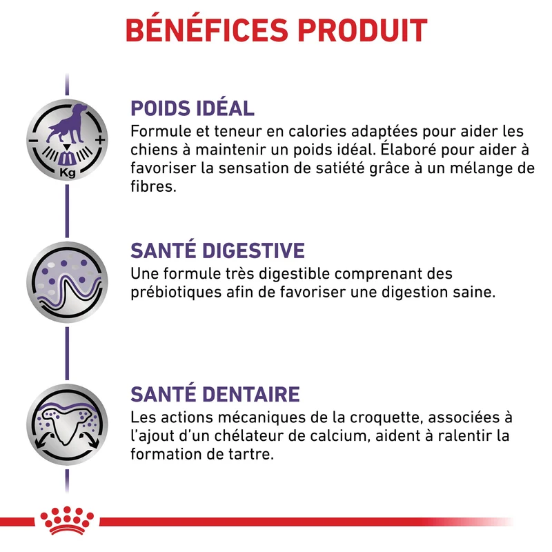 Royal Canin Veterinary Neutered Adult Small Dog - croquettes chien