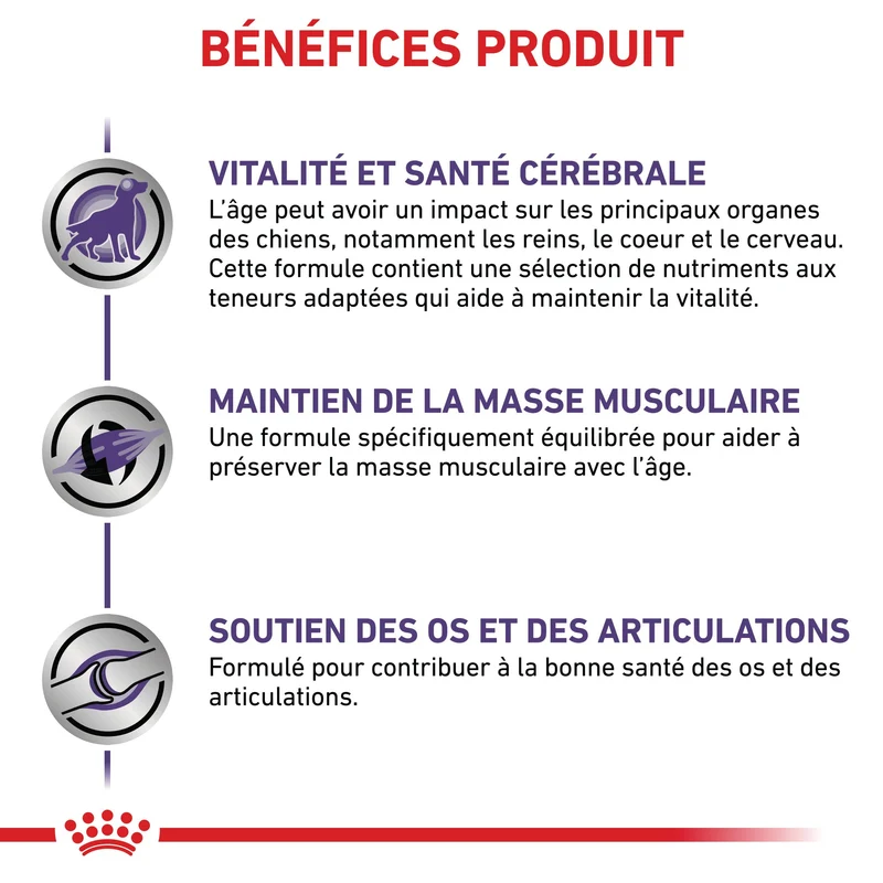 Royal Canin Vet Care Mature Large Dog - croquettes chien