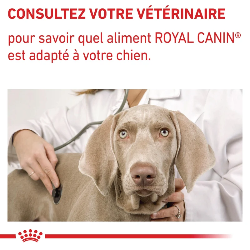 Royal Canin Vet Care Adult Small Dog - croquettes chien