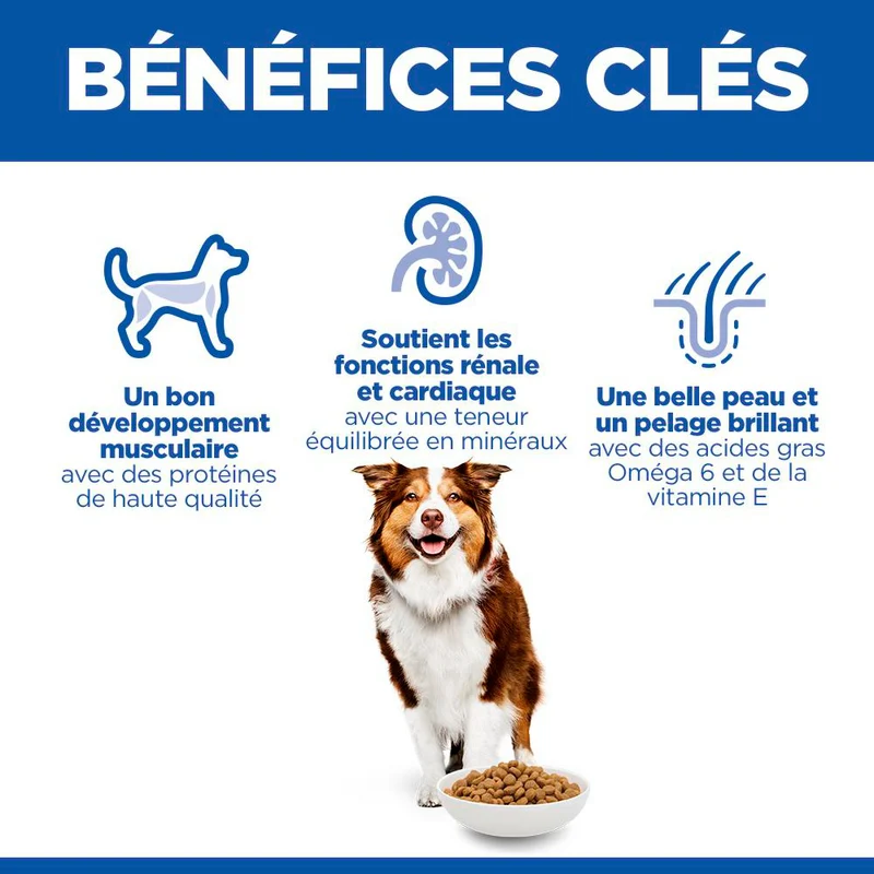 Hill's Science Plan Medium Mature Adult 7+ au poulet - croquettes chien