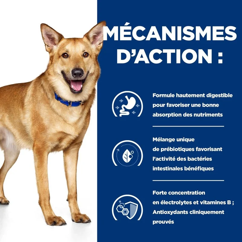 Hill's Prescription Diet i/d Digestive Care au poulet - croquettes chien