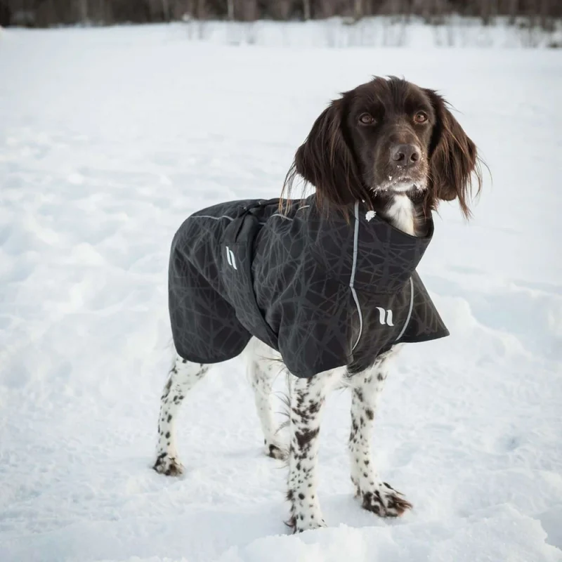 Back on Track Veste pour Chien BARK Noir/Gris
