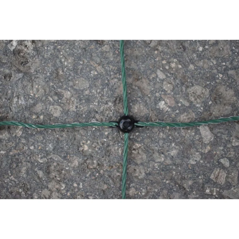 Euro-Netz Filet Avicole Vert