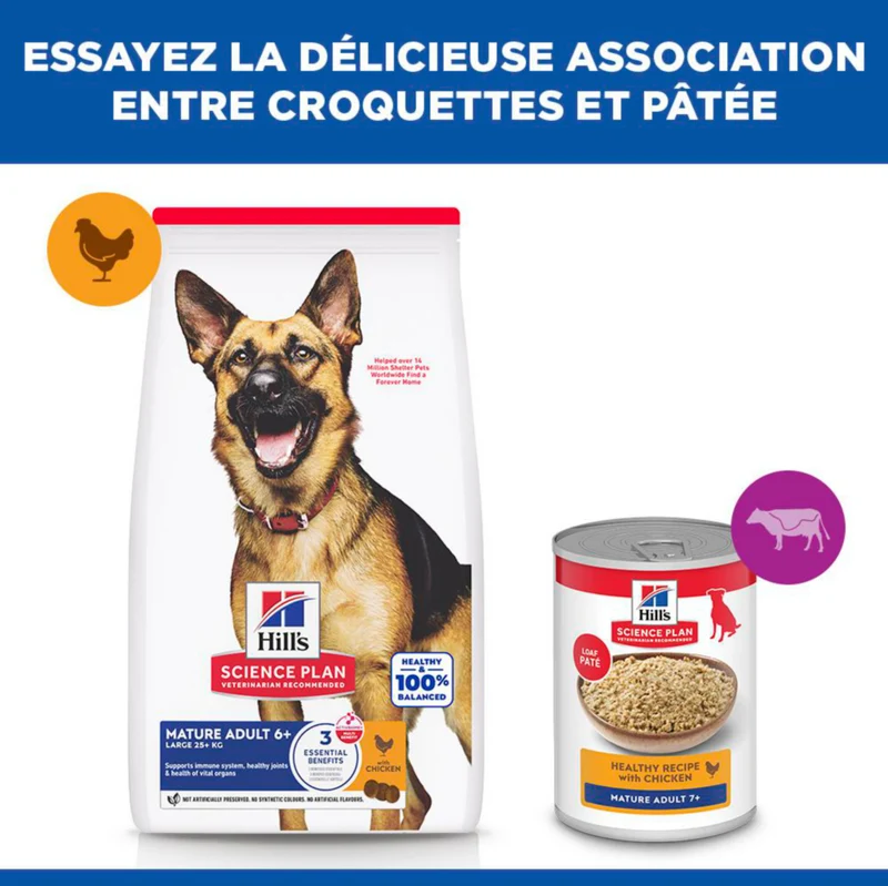 Hill's Science Plan Large Mature Adult 6+ au poulet - croquettes chien