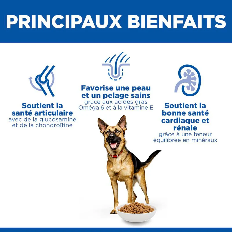 Hill's Science Plan Large Mature Adult 6+ au poulet - croquettes chien