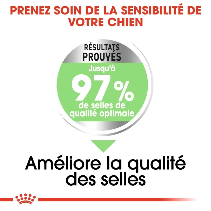 Royal Canin Maxi Digestive Care - Croquettes pour chien