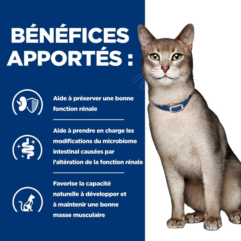 Hill's Prescription Diet k/d Kidney Care en bouchées mijotées au thon - pâtée chat