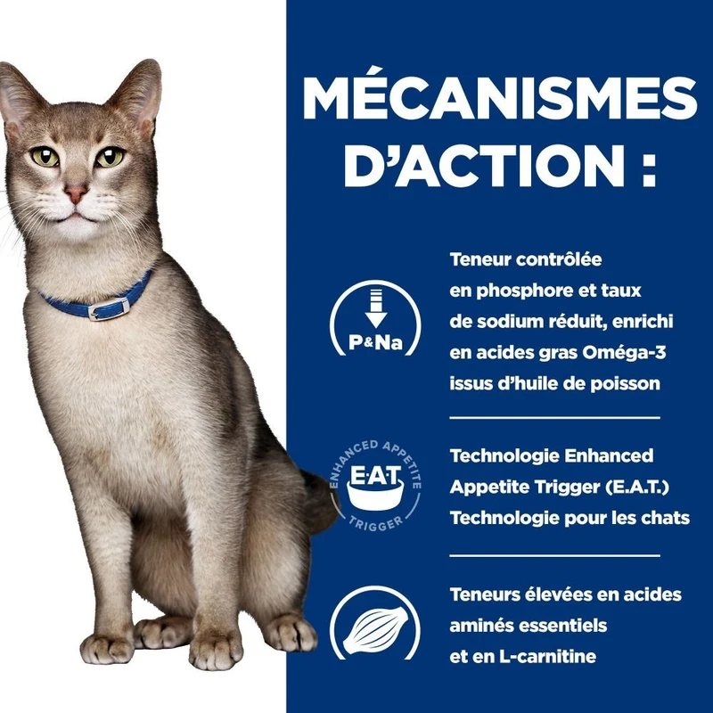 Hill's Prescription Diet k/d Kidney Care en bouchées Multipack - pâtée chat