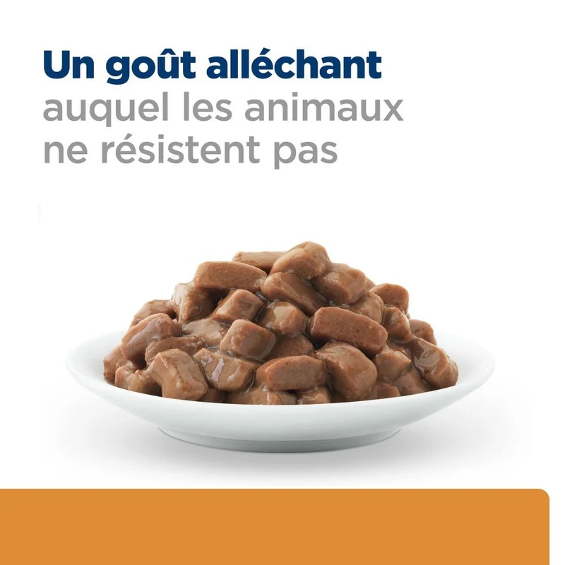 Hill's Prescription Diet k/d Kidney Care en bouchées Multipack - pâtée chat