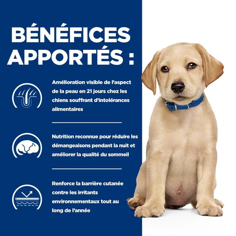 Hill's Prescription Diet Derm Complete Puppy - croquettes chiot