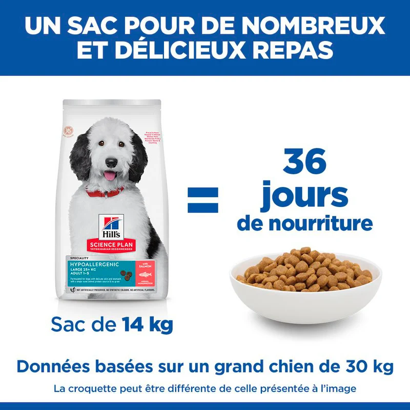 Hill's Science Plan Hypoallergenic Large Adult au saumon – croquettes chien
