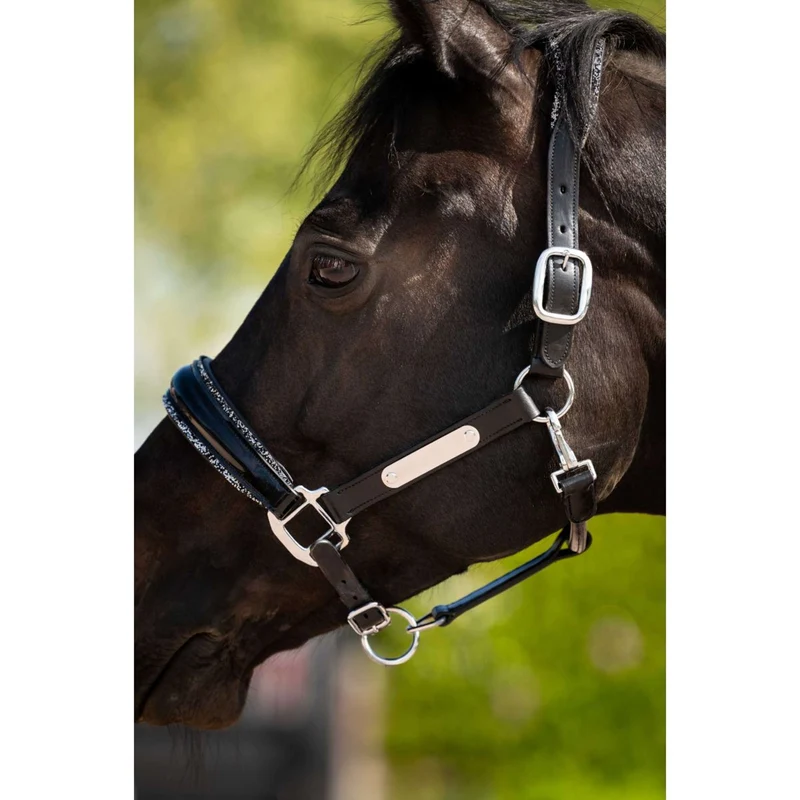 HB Ruitersport Licol Showtime Grand Slam Noir/Argent