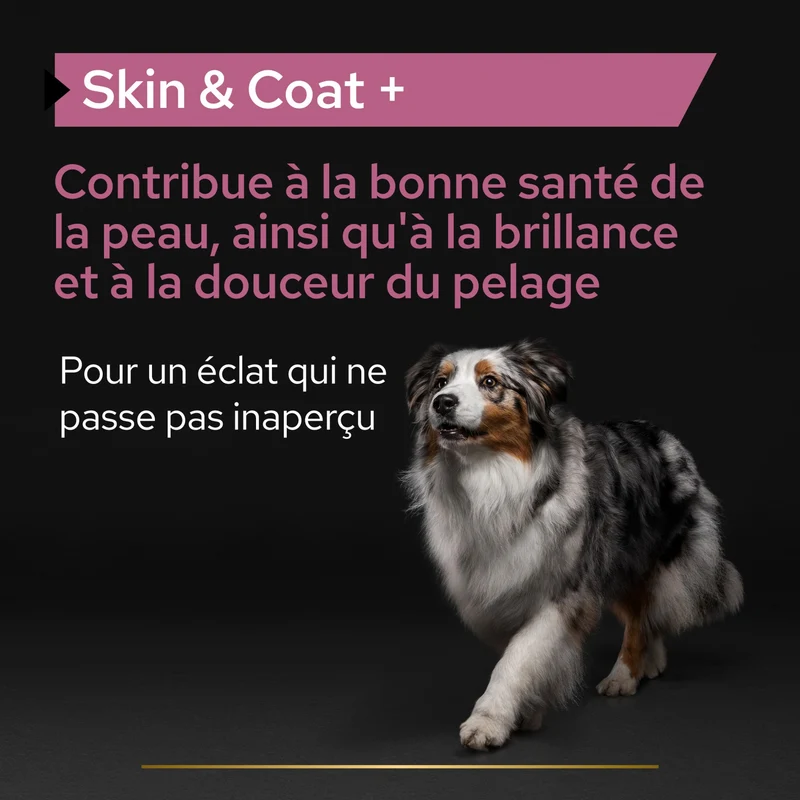 Pro Plan® Skin & Coat+ en huile chien