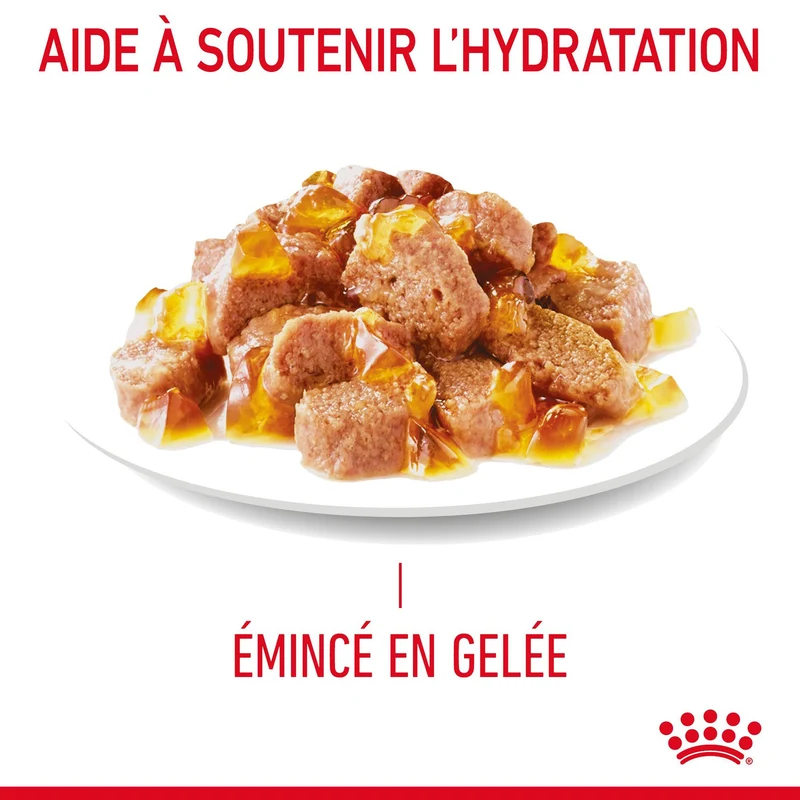 Royal Canin Hairball Care en gelée – pâtée chat