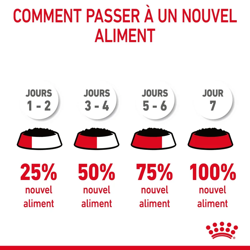 Royal Canin Digestive Care en mousse - pâtée chat