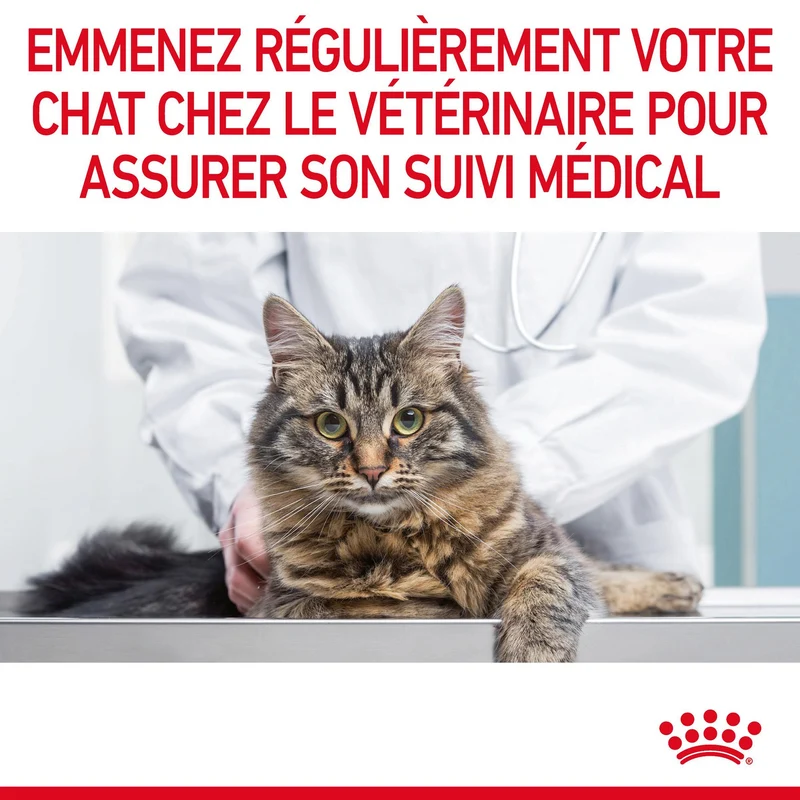 Royal Canin Urinary Care en gelée – pâtée chat