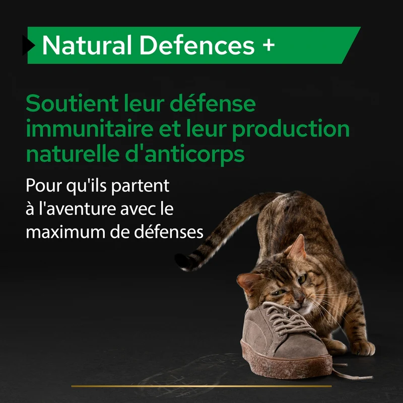 PRO PLAN® Natural Defenses+ en poudre - Aliment complémentaire pour chat