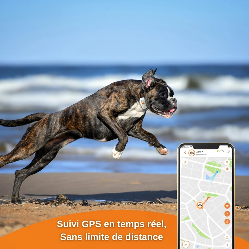 Collier GPS Weenect XS Dogs - Blanc