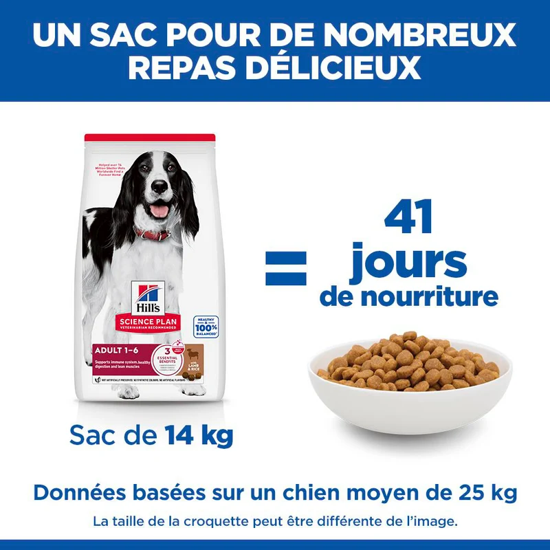Hill's Science Plan Medium Adult à l'agneau - croquettes chien