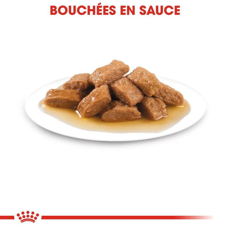 ROYAL CANIN Medium Adult en Sauce - Pâtée pour chien