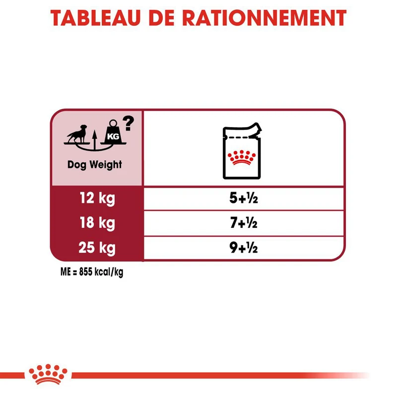 ROYAL CANIN Medium Adult en Sauce - Pâtée pour chien