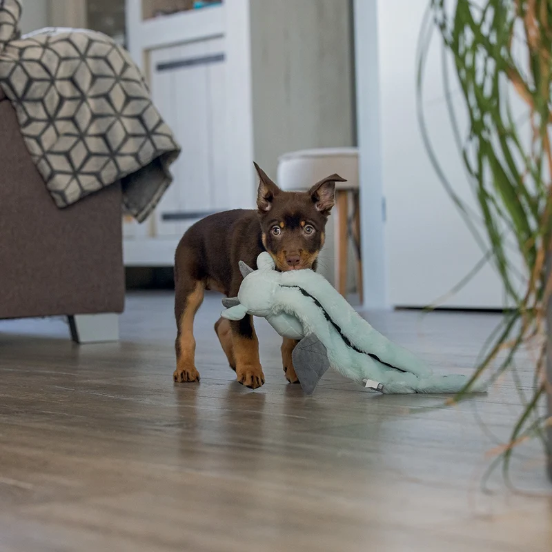 Peluche Dragon chiot