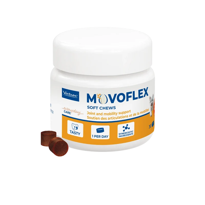 Movoflex chien