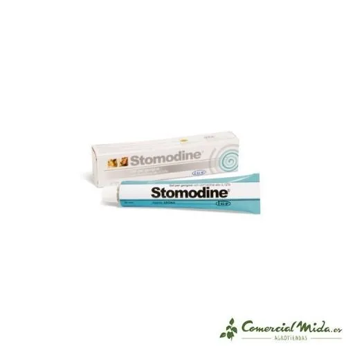 ICF Stomodine Gel Antiseptique Oral 30 gr pour Chiens et Chats
