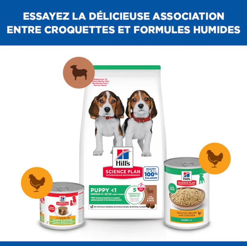 HILL'S Science Plan Medium Puppy à l'Agneau - Croquettes pour chiot
