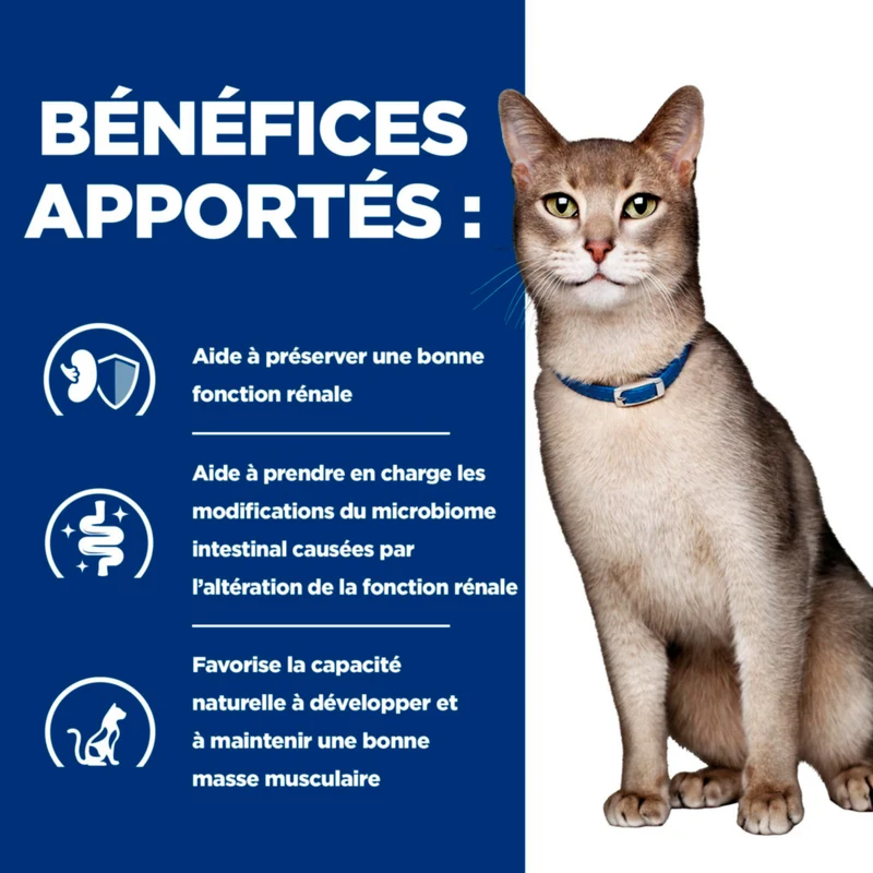 Hill's Prescription Diet k/d Kidney Care au Saumon - croquettes chat