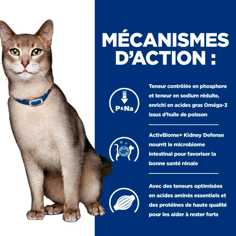 Hill's Prescription Diet k/d Kidney Care au Saumon - croquettes chat