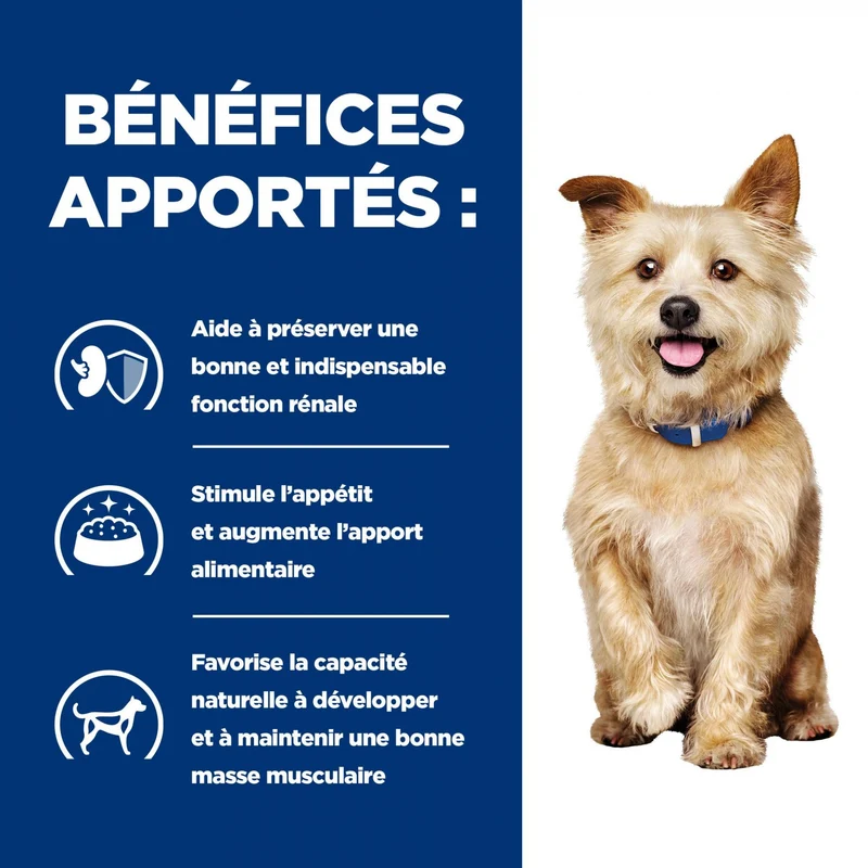 HILL'S Prescription Diet k/d Kidney Care en terrine au poulet - Pâtée pour chien