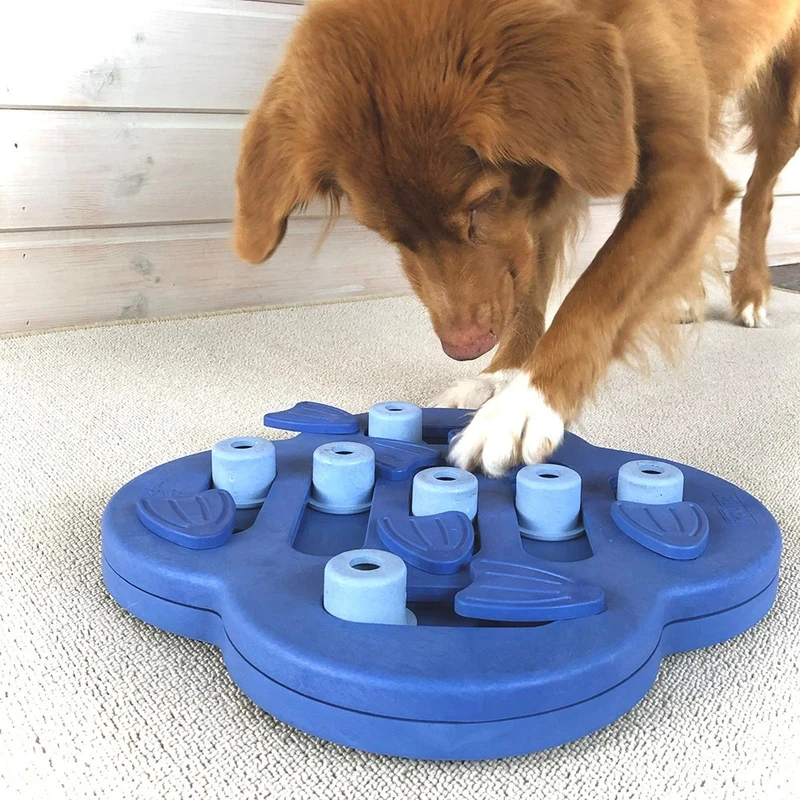 Dog Hide N'Side Composite jouet chien