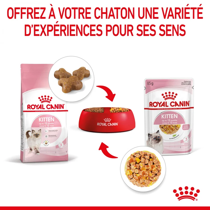 Royal Canin Kitten en Gelée - Pâtée pour chaton