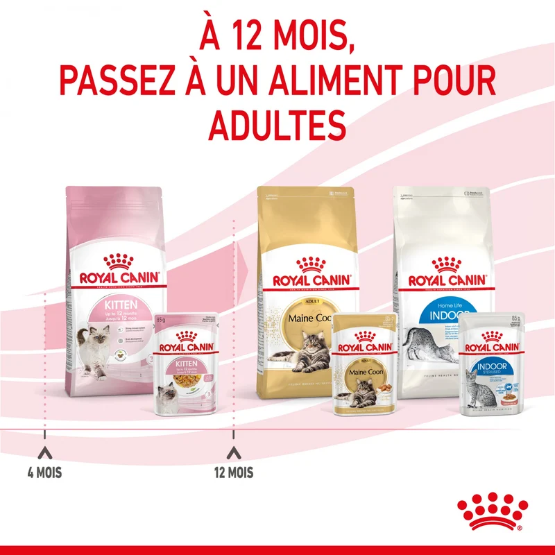 Royal Canin Kitten en Gelée - Pâtée pour chaton
