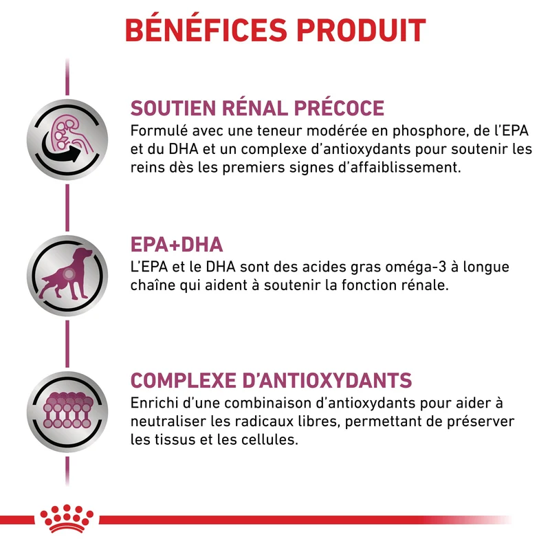 Royal Canin Early Renal - pâtée chien