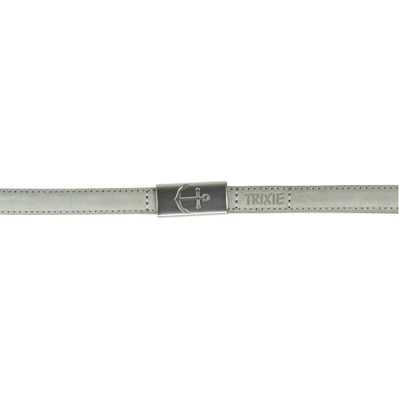 Laisse en cuir grise Be Nordic chien