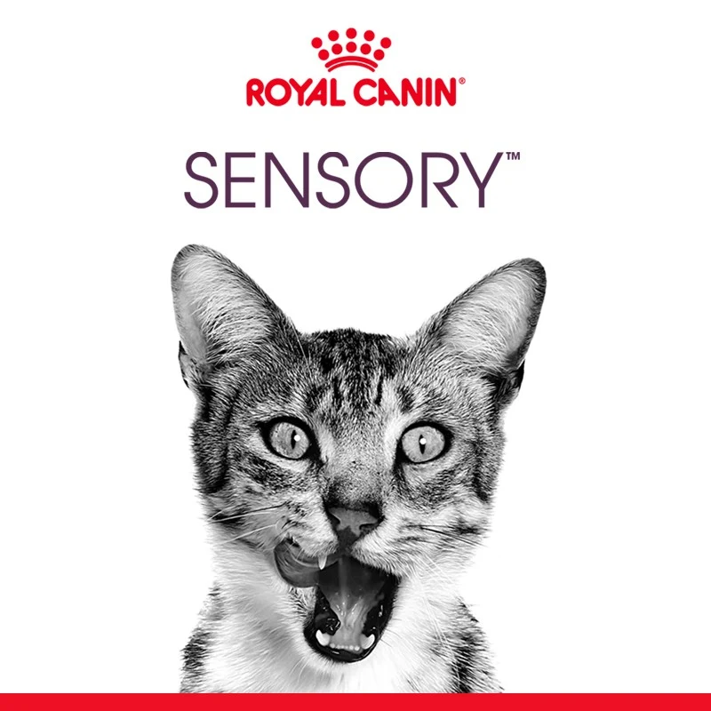 Royal Canin Sensory Smell