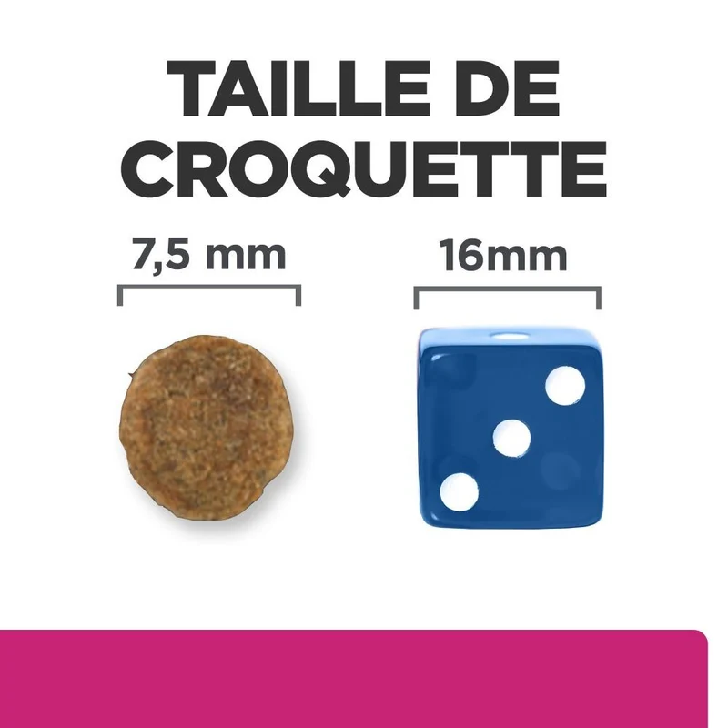 Hill's Prescription Diet Gastrointestinal Biome Mini au poulet - croquettes chien