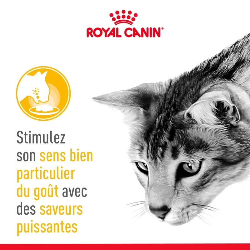 Royal Canin Sensory Taste