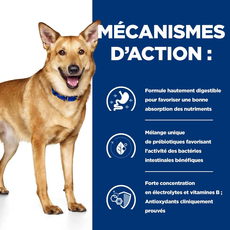 Hill's Prescription Diet i/d Digestive Care terrine - pâtée chien