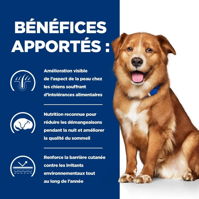 Hill's Prescription Diet Derm Complete - croquettes chien