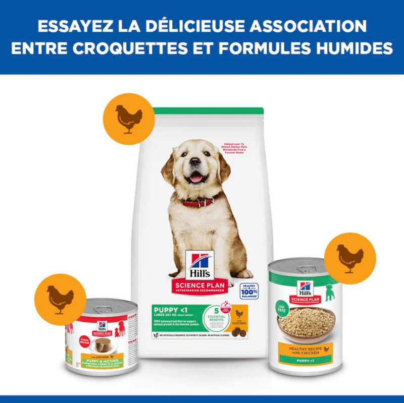 Hill's Science Plan Large Puppy au poulet - croquettes chiot